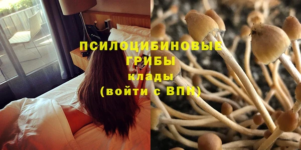 ешки Верхний Тагил